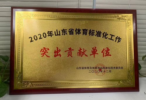 恭喜江南JNSport体育体育荣获山东省体育及体育用品标准化技术委员会授予“突出贡献单位”荣誉称号
