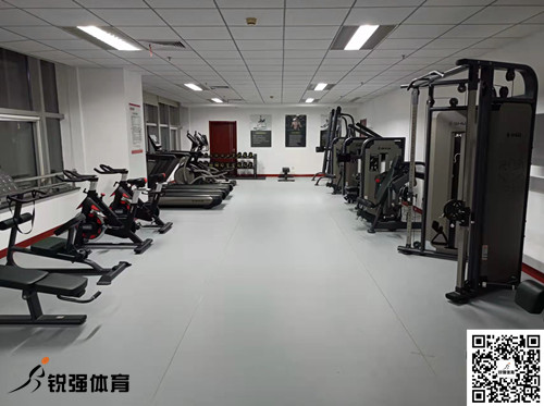 济南某集团采购的江南JNSport体育体育提供的健身器材